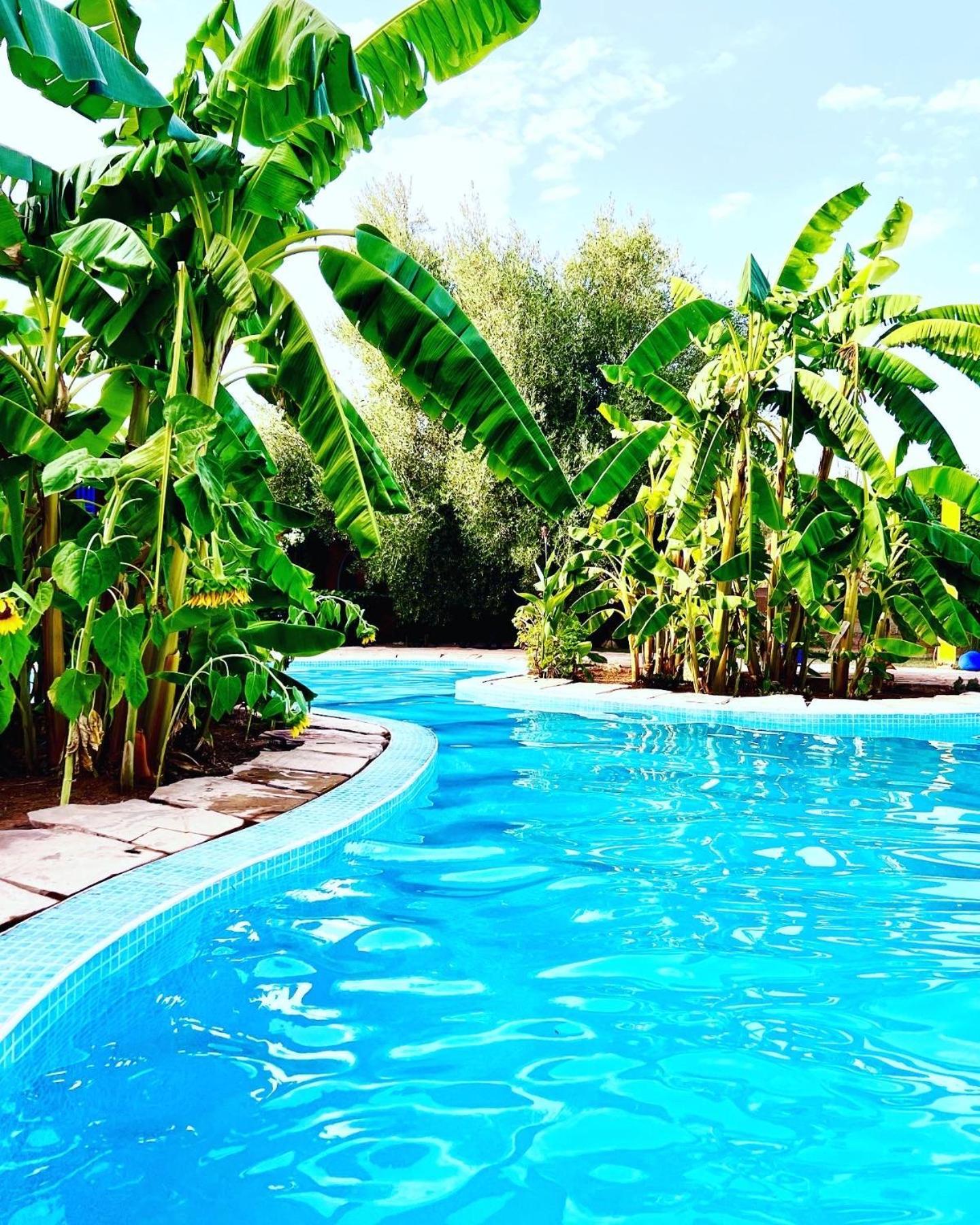 Douar Akkara Le Domaine De Carole Marrakech B&B 외부 사진