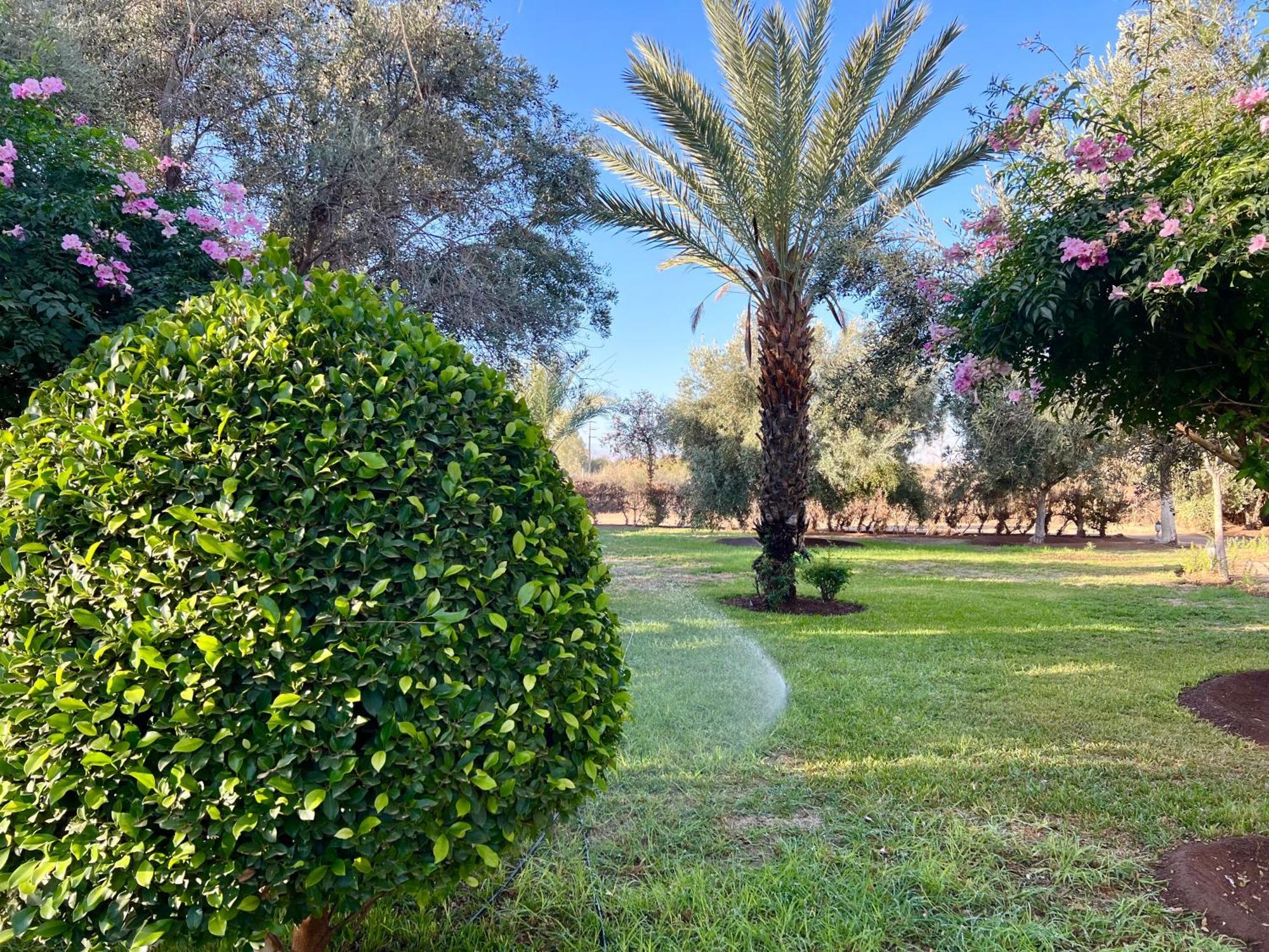 Douar Akkara Le Domaine De Carole Marrakech B&B 외부 사진
