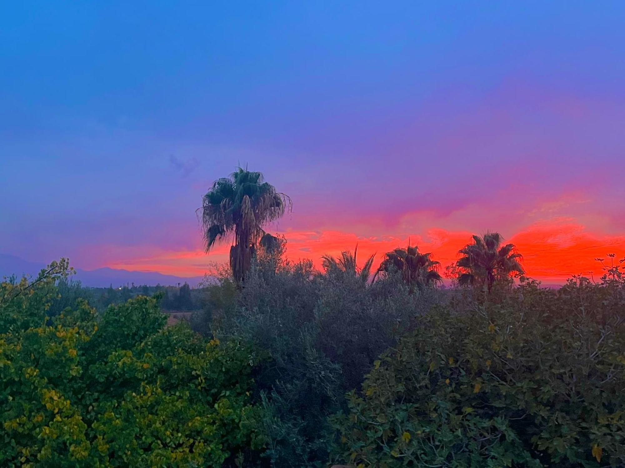 Douar Akkara Le Domaine De Carole Marrakech B&B 외부 사진