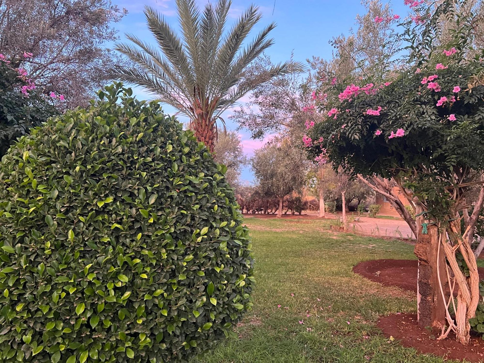 Douar Akkara Le Domaine De Carole Marrakech B&B 외부 사진