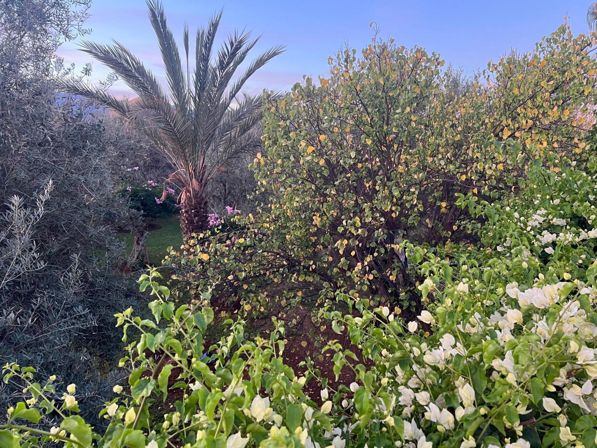 Douar Akkara Le Domaine De Carole Marrakech B&B 외부 사진