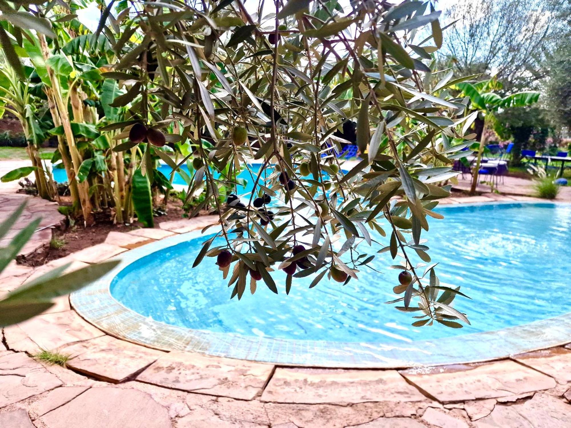 Douar Akkara Le Domaine De Carole Marrakech B&B 외부 사진